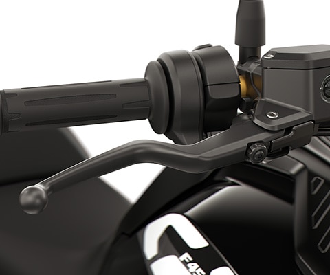 Las Manetas regulables de la F 450 GS de BMW Motorrad